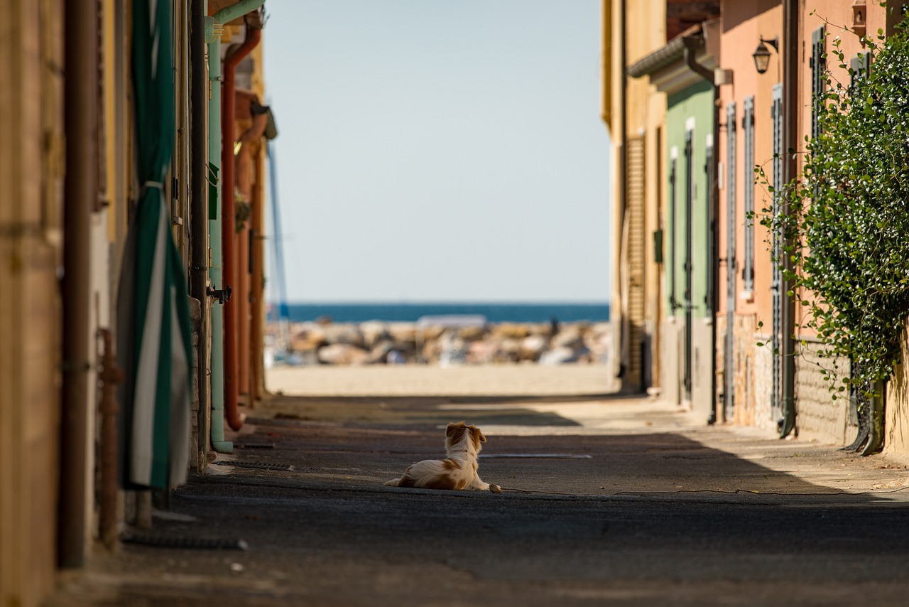 street-5085971_1280